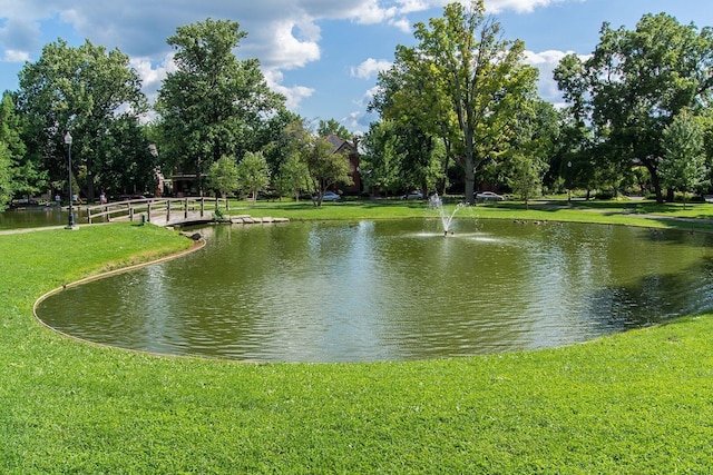 248 E Whittier St, Columbus, OH 43206 - water view featuring a tree filled landscape
