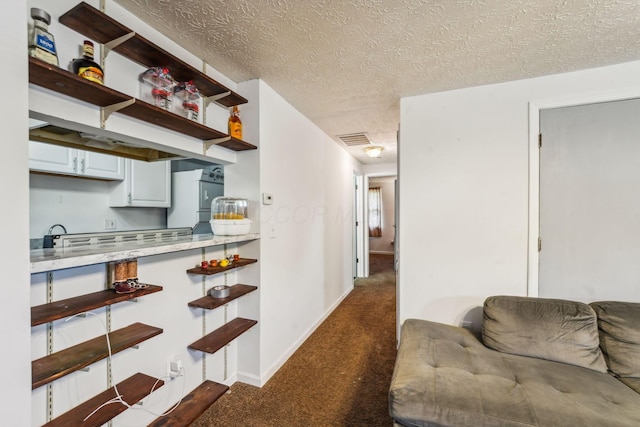 699 Cherry Hollow Rd Unit A, Columbus, OH 43228 - kitchen with carpet, open shelves, a textured ceiling, and light countertops