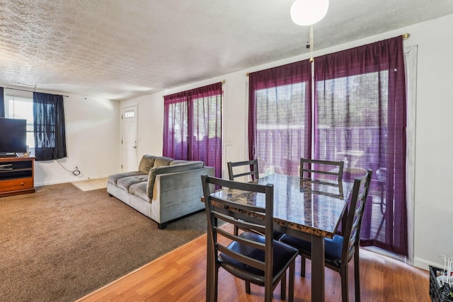 699 Cherry Hollow Rd Unit A, Columbus, OH 43228 - dining room featuring plenty of natural light and a textured ceiling
