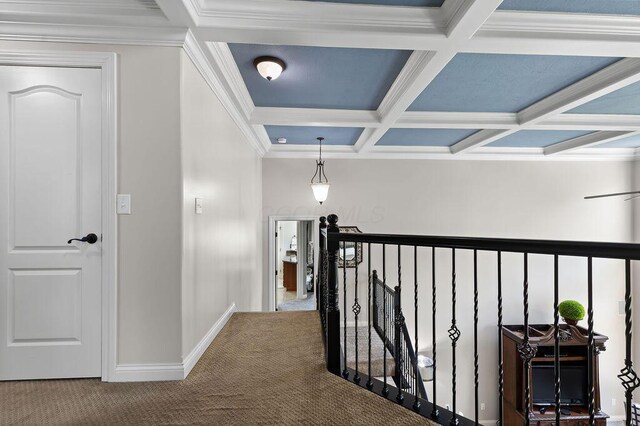 5712 Summer Ridge Ln, Galena, OH 43021 - photo 35