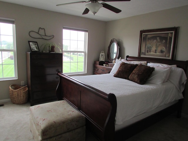 6038 Phar Lap Dr, New Albany, OH 43054 - bedroom featuring multiple windows, carpet, and ceiling fan