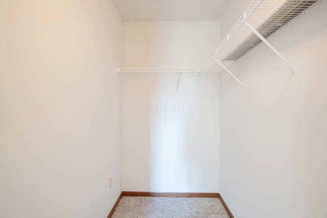 237 Harvard Loop, Delaware, OH 43015 - walk in closet with carpet floors