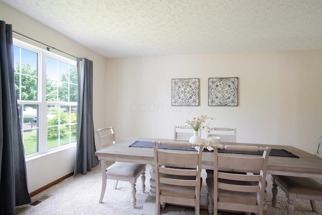 237 Harvard Loop, Delaware, OH 43015 - dining area with healthy amount of natural light, a textured ceiling, and light carpet