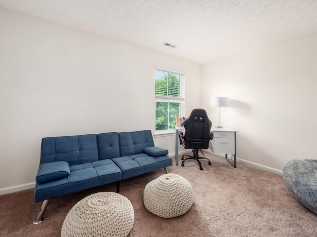 153 Shawnee Dr, Pickerington, OH 43147 - home office with carpet and a textured ceiling