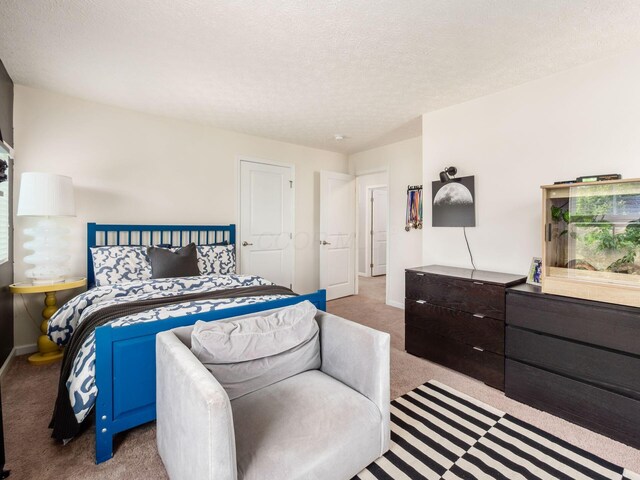 153 Shawnee Dr, Pickerington, OH 43147 - bedroom with carpet floors and a textured ceiling