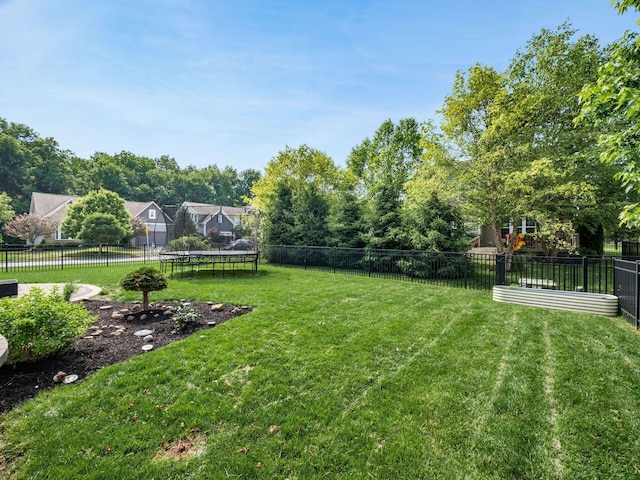 153 Shawnee Dr, Pickerington, OH 43147 - view of yard featuring a trampoline