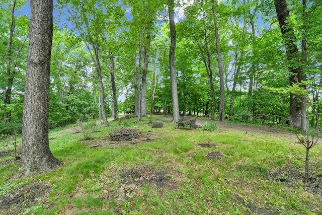 10742 Maharg Rd, Saint Louisville, OH 43071 - photo 30
