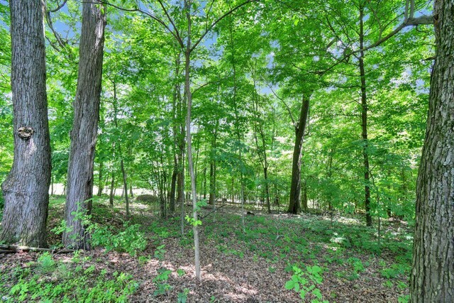 10742 Maharg Rd, Saint Louisville, OH 43071 - photo 29