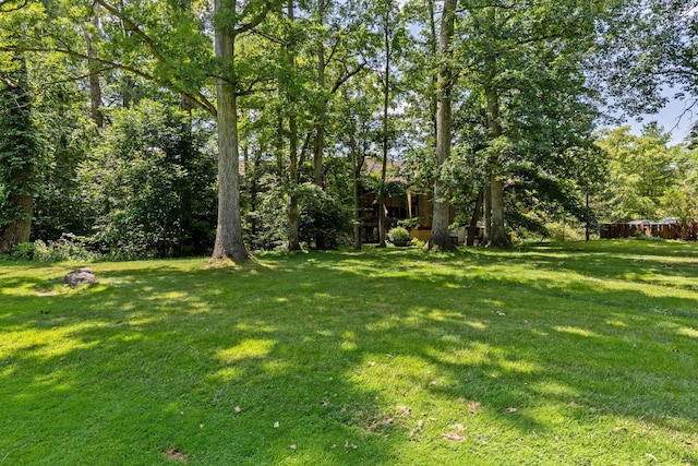 5062 Strawpocket Ln, Westerville, OH 43081 - photo 32