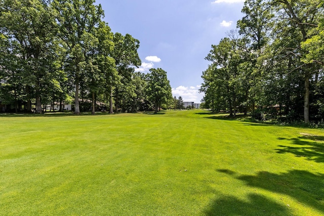 5062 Strawpocket Ln, Westerville, OH 43081 - photo 33