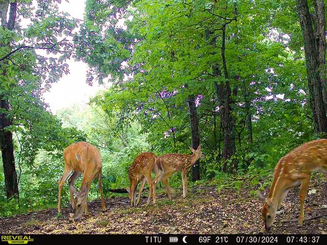 0 Parkinson Rd Unit Tract 8At, Titus Langsville, OH 45741 - photo 2