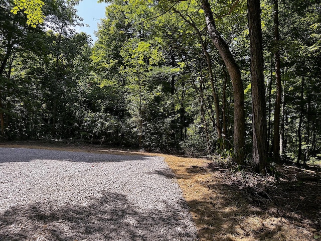 0 Parkinson Rd Unit Tract 8At, Titus Langsville, OH 45741 - photo 11
