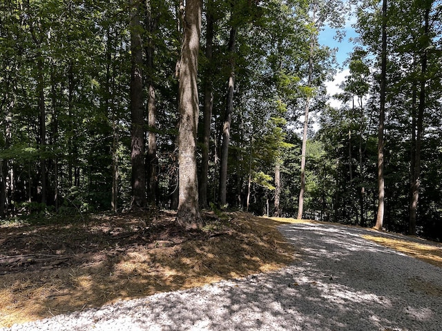 0 Parkinson Rd Unit Tract 8At, Titus Langsville, OH 45741 - photo 12