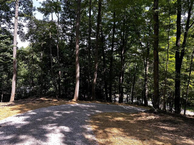 0 Parkinson Rd Unit Tract 8At, Titus Langsville, OH 45741 - photo 13
