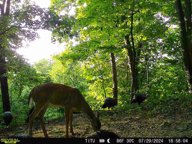 0 Parkinson Rd Unit Tract 8At, Titus Langsville, OH 45741 - photo 15