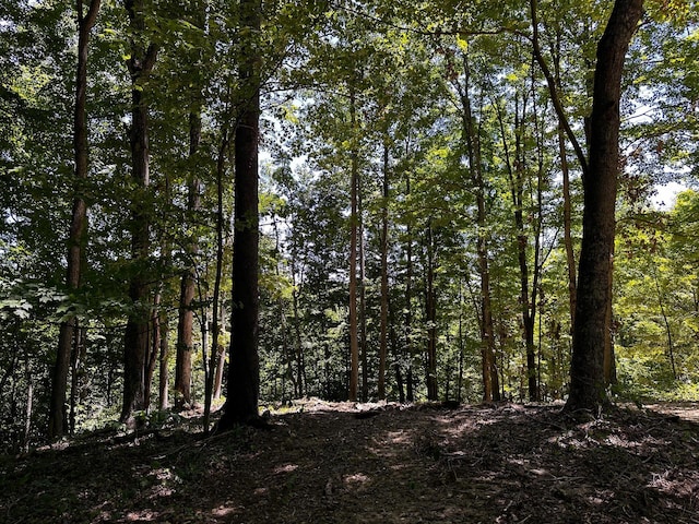 0 Parkinson Rd Unit Tract 8At, Titus Langsville, OH 45741 - photo 18