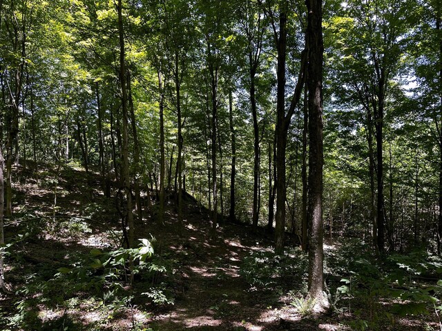 0 Parkinson Rd Unit Tract 8At, Titus Langsville, OH 45741 - photo 19