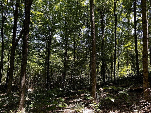0 Parkinson Rd Unit Tract 8At, Titus Langsville, OH 45741 - photo 20