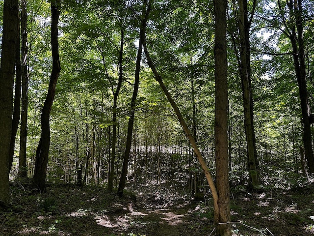 0 Parkinson Rd Unit Tract 8At, Titus Langsville, OH 45741 - photo 21