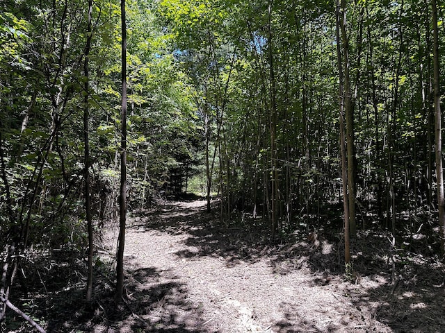 0 Parkinson Rd Unit Tract 8At, Titus Langsville, OH 45741 - photo 23