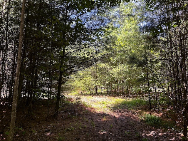 0 Parkinson Rd Unit Tract 8At, Titus Langsville, OH 45741 - photo 24