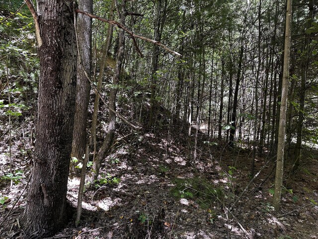 0 Parkinson Rd Unit Tract 8At, Titus Langsville, OH 45741 - photo 25