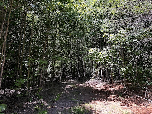0 Parkinson Rd Unit Tract 8At, Titus Langsville, OH 45741 - photo 26
