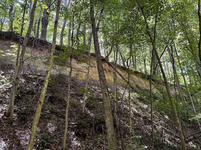 0 Parkinson Rd Unit Tract 8At, Titus Langsville, OH 45741 - photo 28