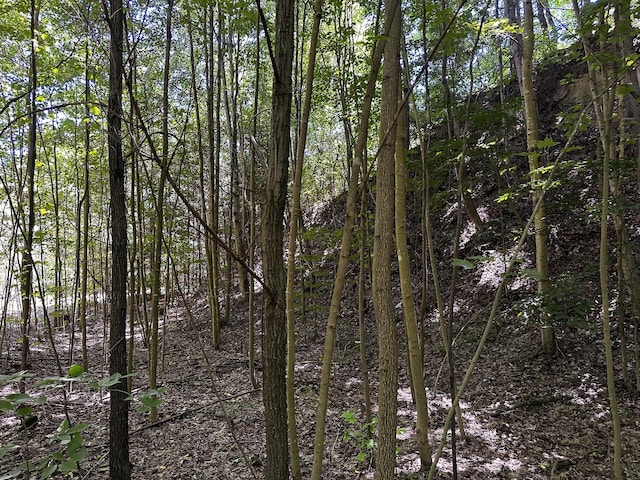 0 Parkinson Rd Unit Tract 8At, Titus Langsville, OH 45741 - photo 29