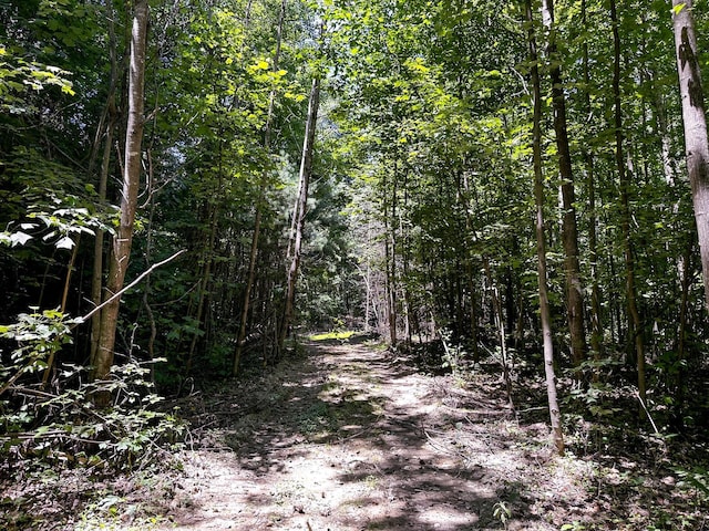 0 Parkinson Rd Unit Tract 8At, Titus Langsville, OH 45741 - photo 36