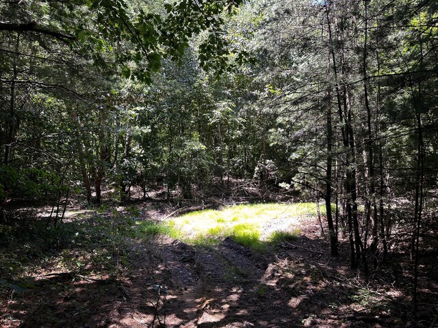 0 Parkinson Rd Unit Tract 8At, Titus Langsville, OH 45741 - photo 39