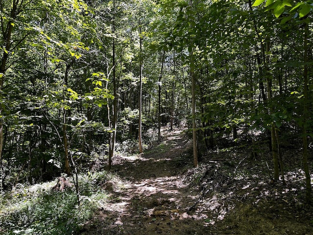 0 Parkinson Rd Unit Tract 8At, Titus Langsville, OH 45741 - photo 40