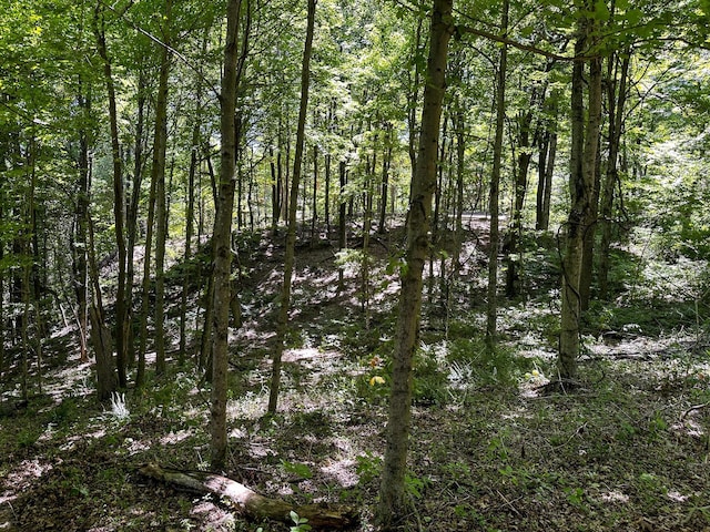 0 Parkinson Rd Unit Tract 8At, Titus Langsville, OH 45741 - photo 45