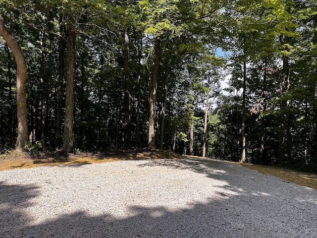 0 Parkinson Rd Unit Tract 8At, Titus Langsville, OH 45741 - photo 47