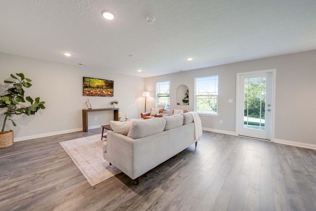 66 Genoa Cir, Commercial Point, OH 43116 - living room featuring wood finished floors and recessed lighting