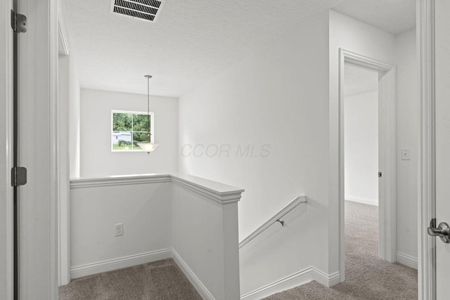 55 Genoa Cir, Commercial Point, OH 43116 - photo 16