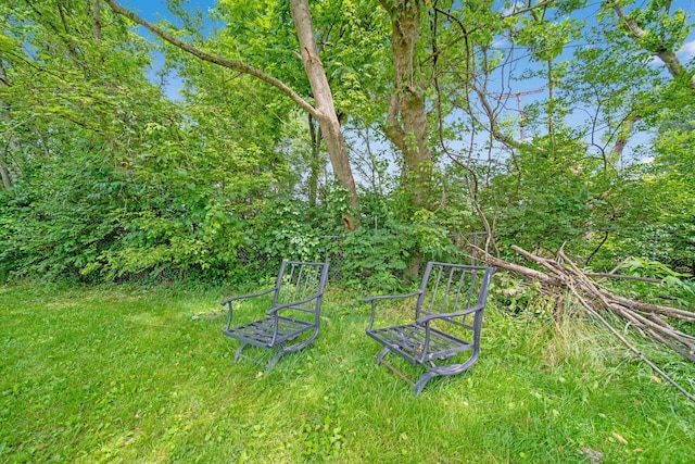 136 Ridgeview Ct, Johnstown, OH 43031 - view of yard