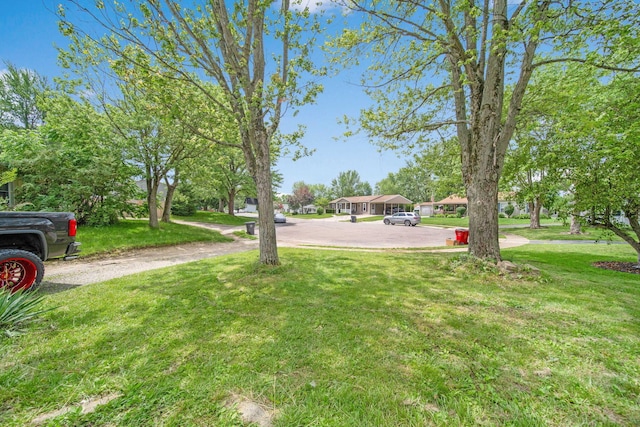 136 Ridgeview Ct, Johnstown, OH 43031 - view of green lawn
