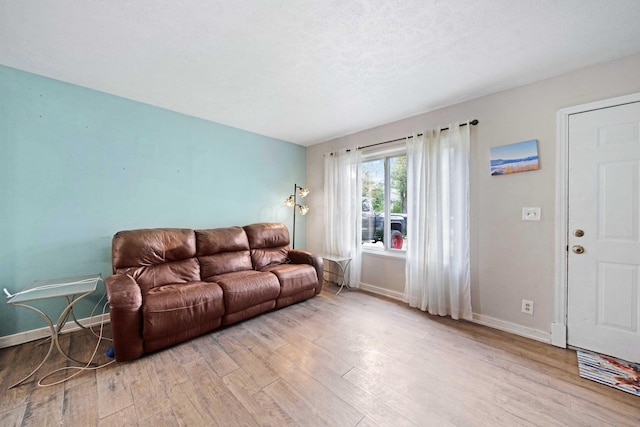136 Ridgeview Ct, Johnstown, OH 43031 - living room featuring wood finished floors and baseboards