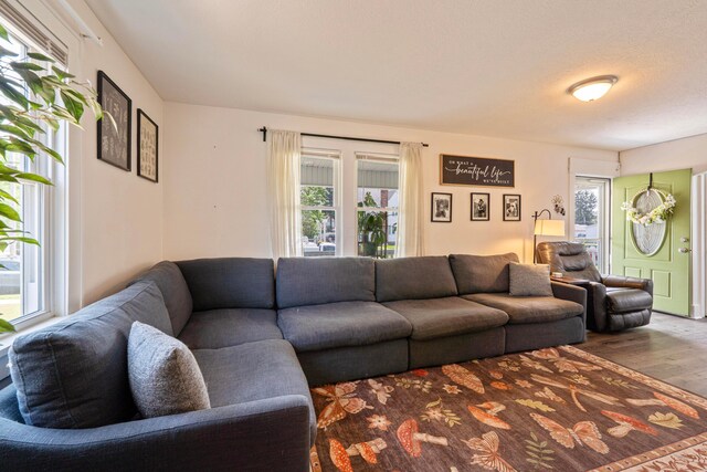 297 Central Ave, Newark, OH 43055 - living room featuring plenty of natural light and wood finished floors