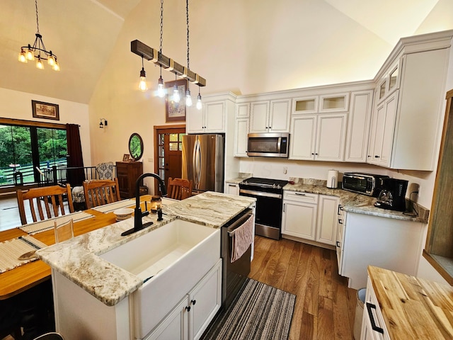 1240 Beath Ln, South Salem, OH 45681 - kitchen featuring appliances with stainless steel finishes, high vaulted ceiling, dark wood-style floors, glass insert cabinets, and an island with sink