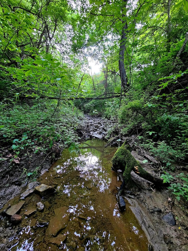 1240 Beath Ln, South Salem, OH 45681 - view of undeveloped land