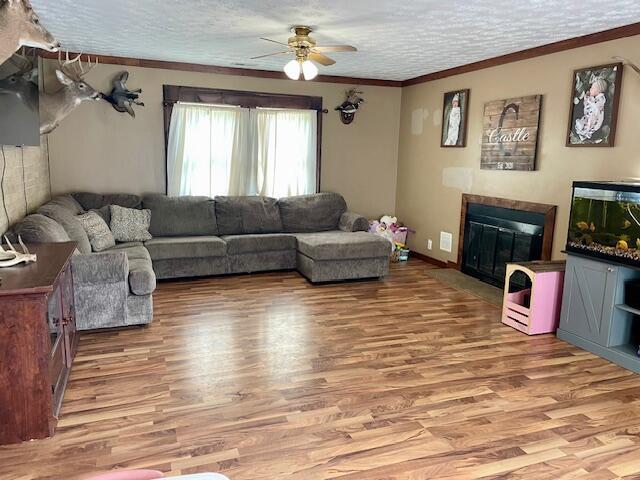 10363 Bremen Rd, Logan, OH 43138 - living area with ceiling fan, light wood finished floors, ornamental molding, a glass covered fireplace, and a textured ceiling
