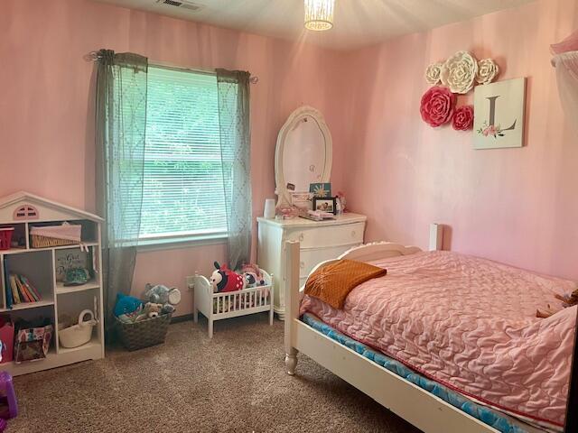 10363 Bremen Rd, Logan, OH 43138 - bedroom with multiple windows and carpet floors