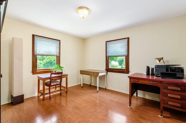 1133 Rockport Ln, Columbus, OH 43235 - office featuring healthy amount of natural light and wood finished floors