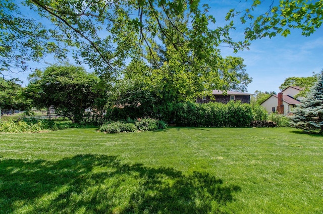 1133 Rockport Ln, Columbus, OH 43235 - view of green lawn