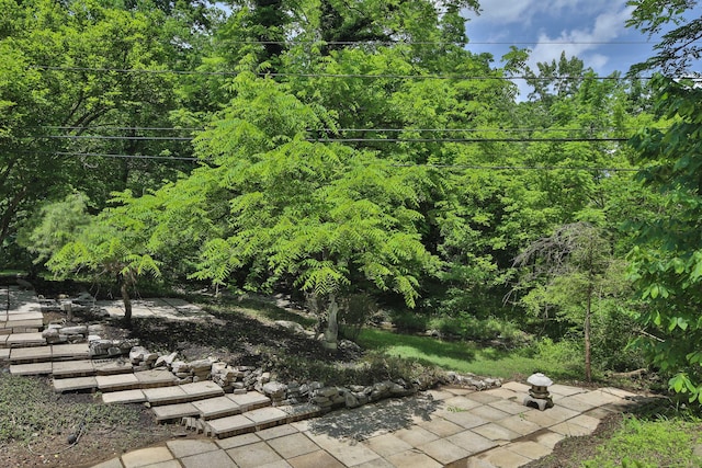 230 E S St, Worthington, OH 43085 - view of yard with a patio