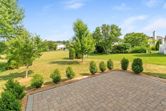 113 Olentangy Meadows Dr, Lewis Center, OH 43035 - view of patio / terrace