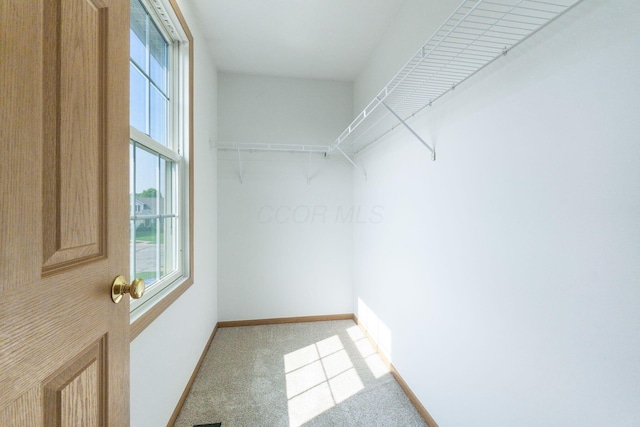 113 Olentangy Meadows Dr, Lewis Center, OH 43035 - walk in closet with light carpet