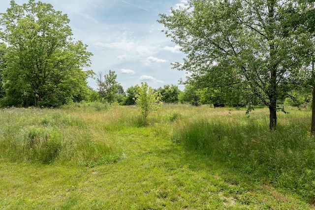 3761 Fry Rd, Ostrander, OH 43061 - photo 26
